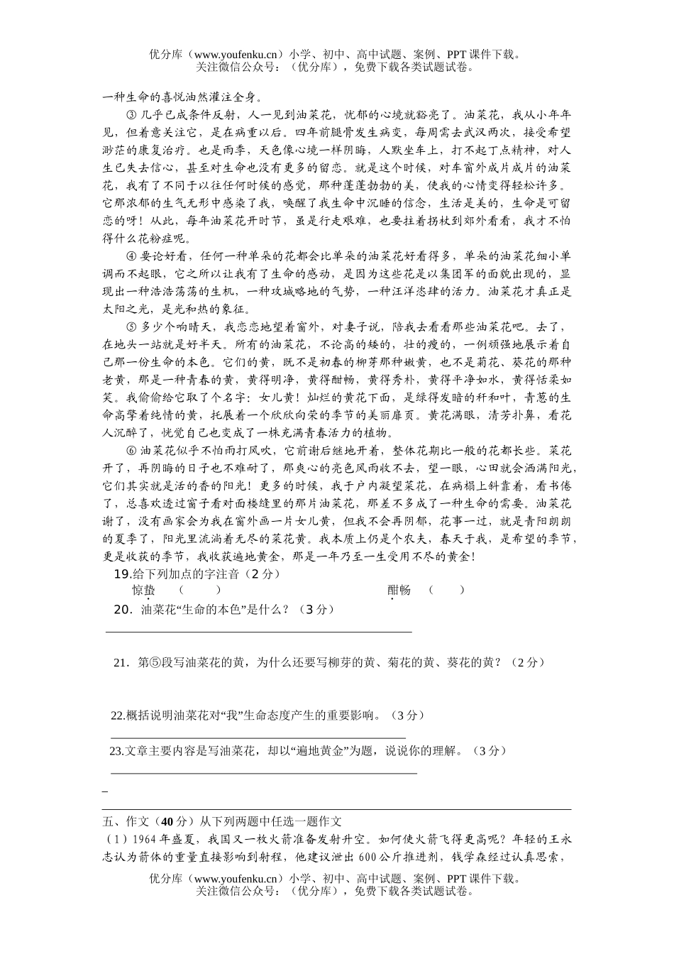 初中八年级语文第一学期期中试卷_第3页