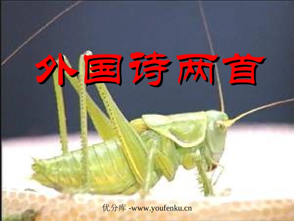 外国诗两首《蝈蝈与蛐蛐、夜》PPT课件[部编版九年级语文]_第1页
