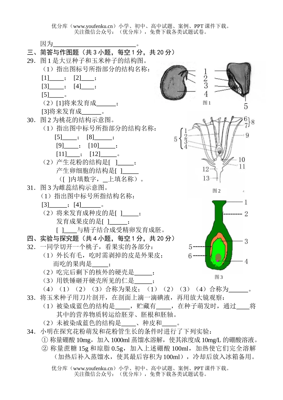 初中八年级生物植物的生殖和发育试卷_第3页