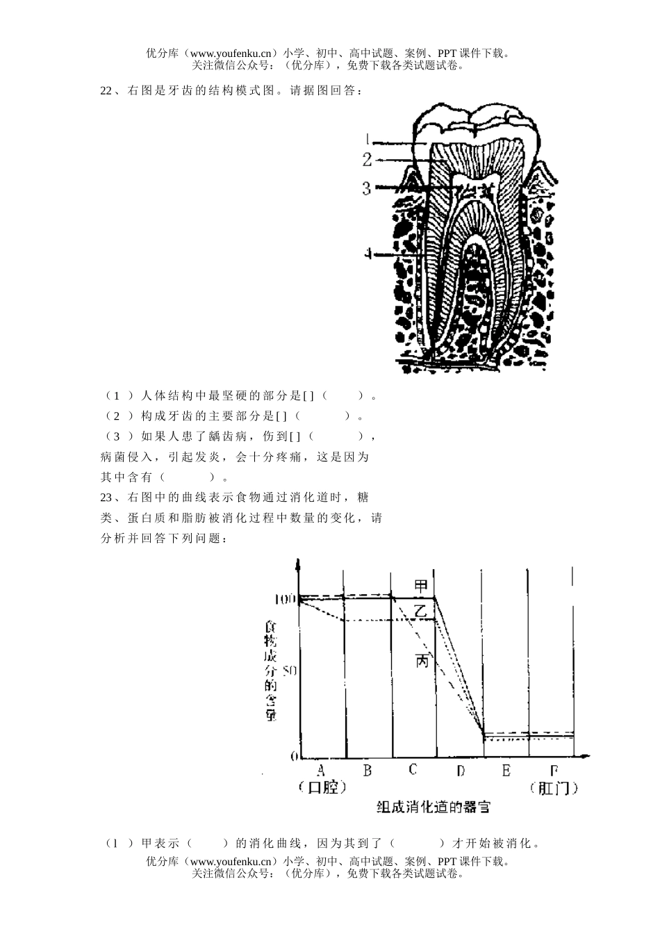 初中八年级生物初第四单元(第5章)测试卷_第3页