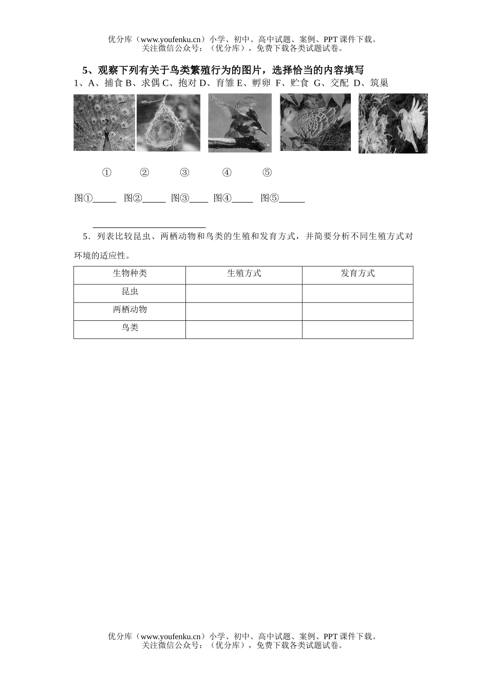 初中八年级生物下学期复习(一)试卷_第3页