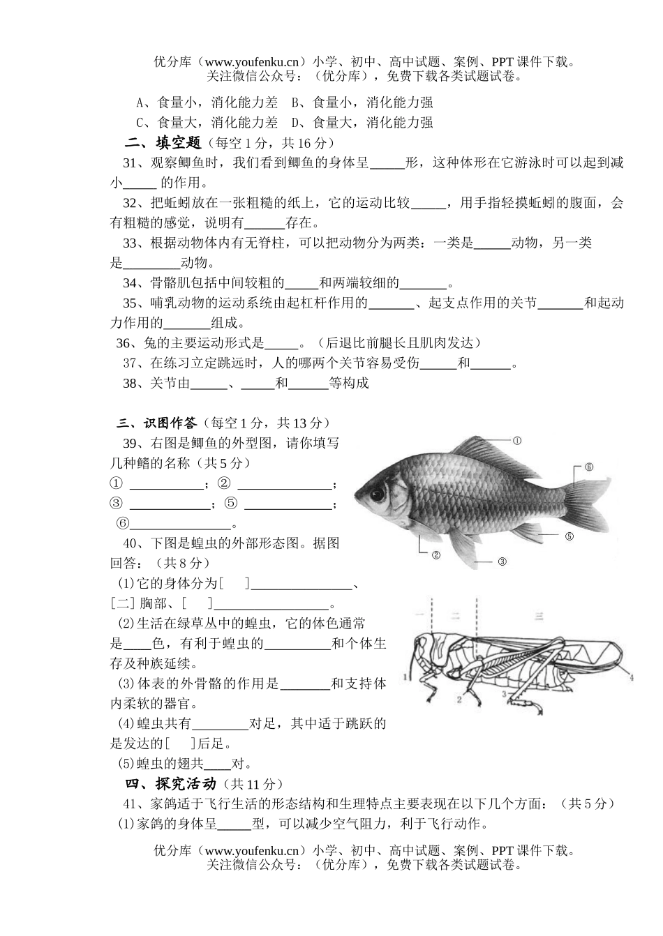 初中八年级生物上册期中考试卷_第2页