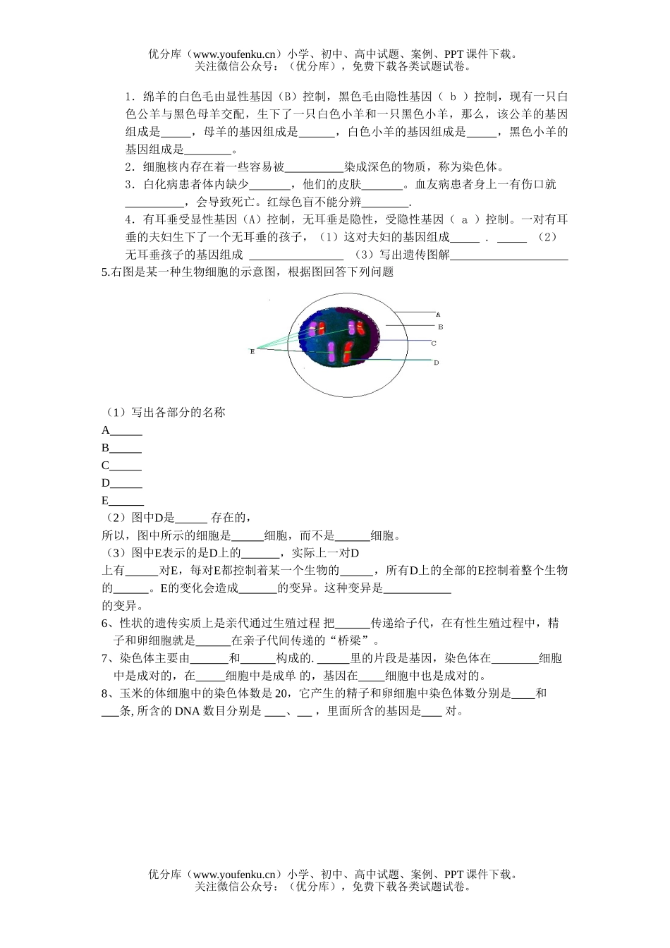 初中八年级生物下册学第二章检测题和答案试卷_第3页
