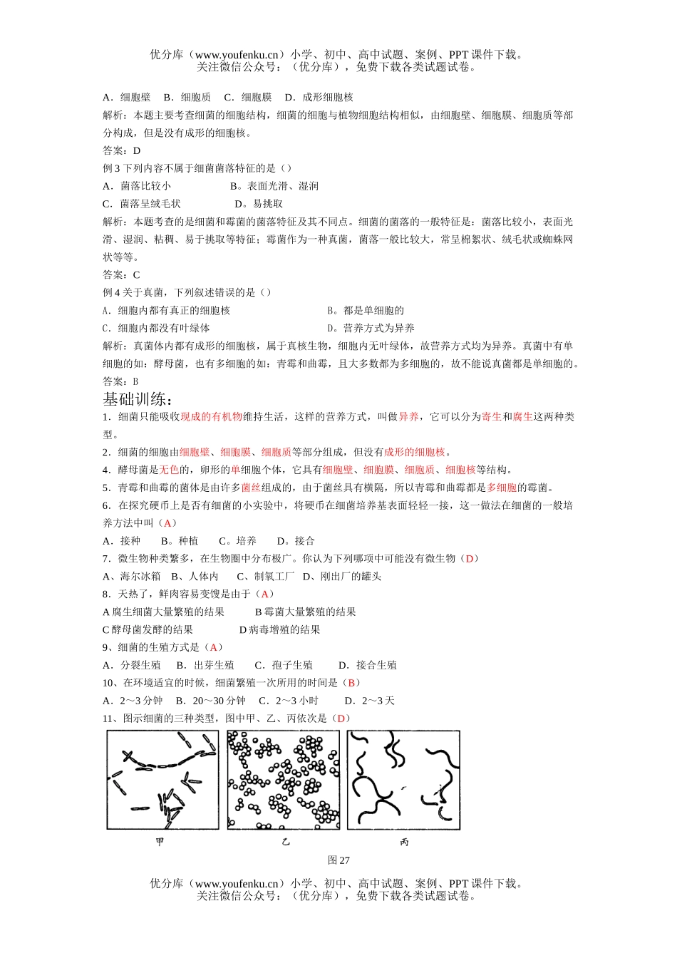 初中八年级生物分布广泛的细菌和真菌试卷_第2页