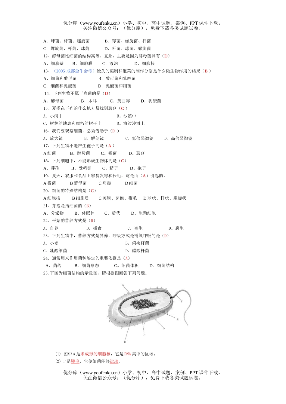 初中八年级生物分布广泛的细菌和真菌试卷_第3页