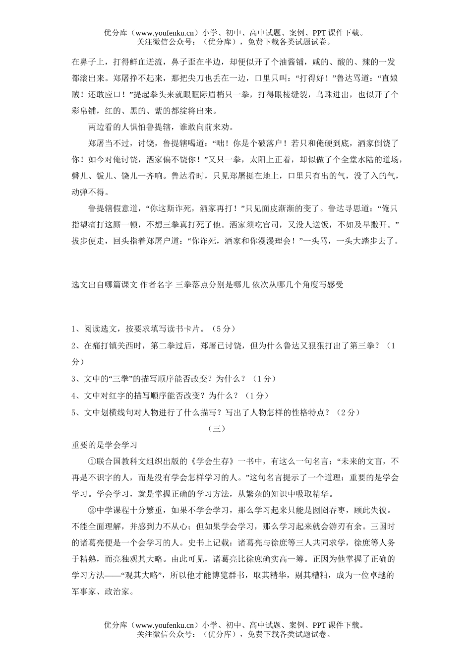 初中九年级语文模拟试卷_第3页