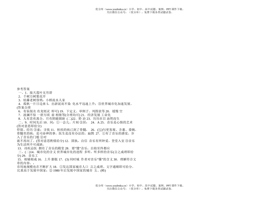 初中九年级语文总复习(一)试卷_第3页