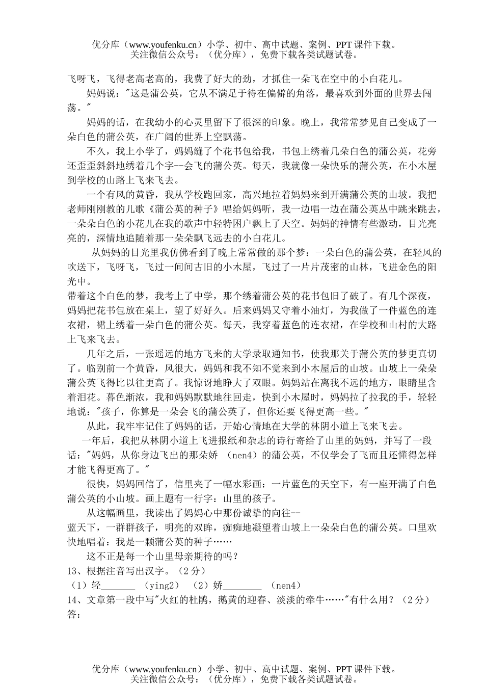 初中九年级语文模拟试卷_第3页