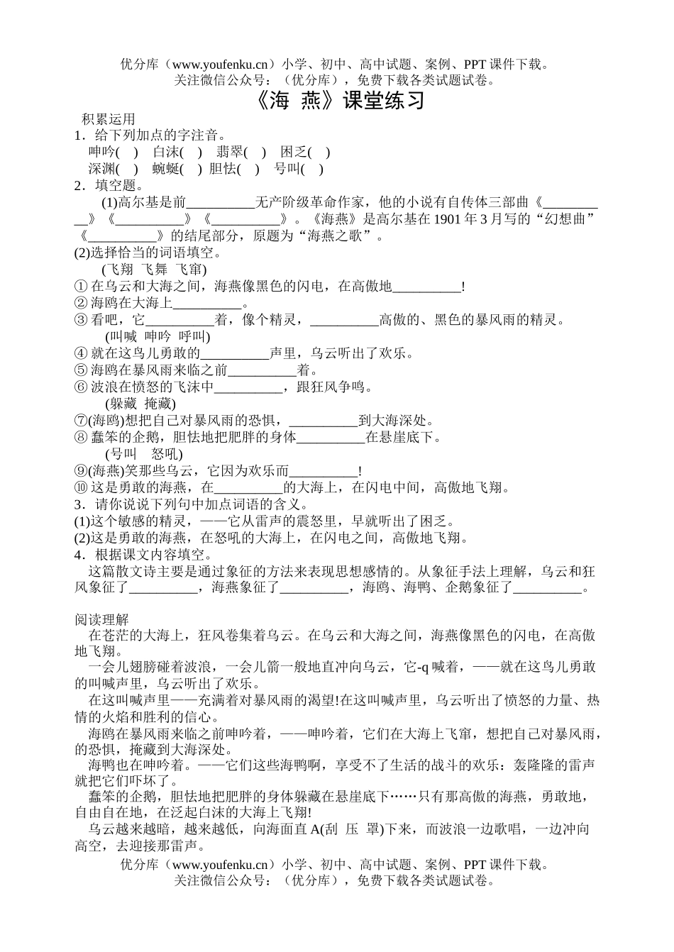 初中九年级语文《海  燕》课堂练习试卷_第1页