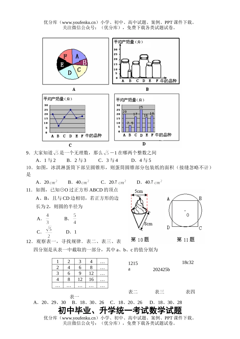 初中九年级数学毕业、升学统一考试卷_第2页