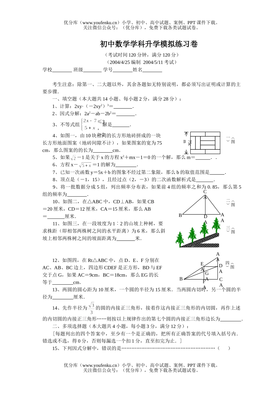 初中九年级数学学科升学模拟练习试卷_第1页
