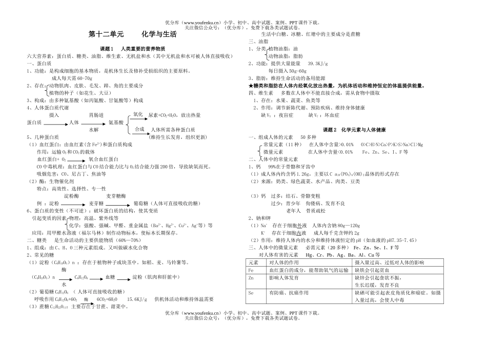 初中化学第十二单元与生活试卷_第1页