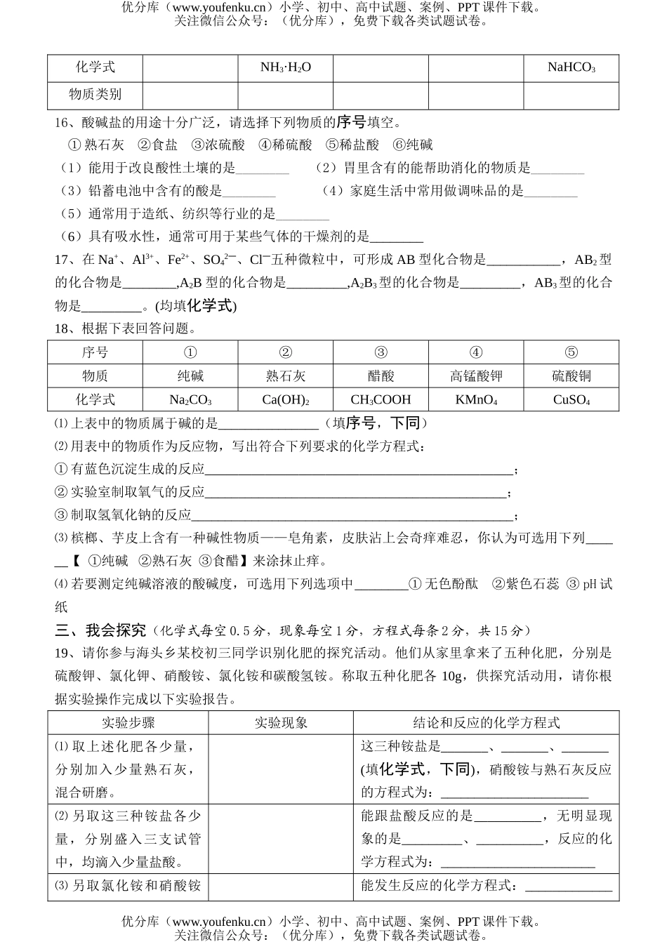 初中化学第二学期专题七测盐、化肥试卷_第3页