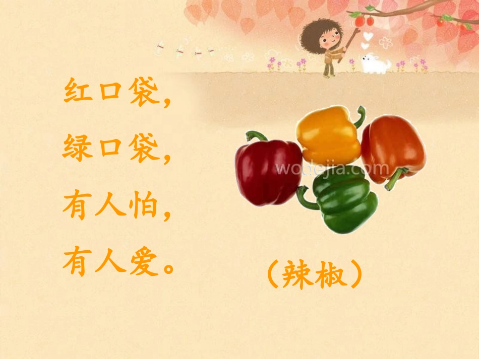 《菜园里》PPT课件[鲁教版一年级语文上册]_第3页
