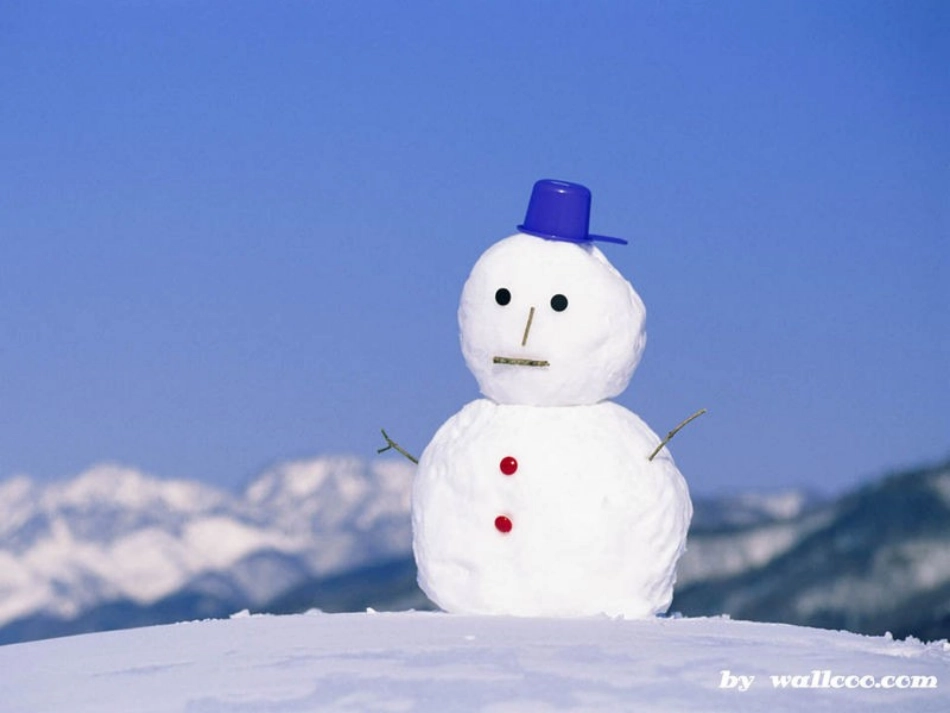 《雪地里的小画家》PPT课件[鲁教版一年级语文上册]_第2页