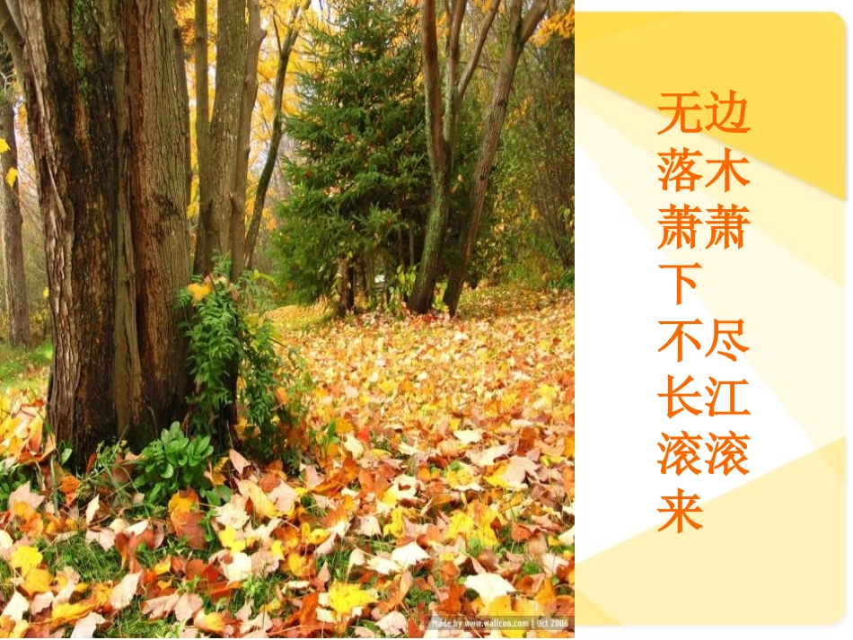 《秋天》PPT课件[鲁教版二年级语文上册]_第2页