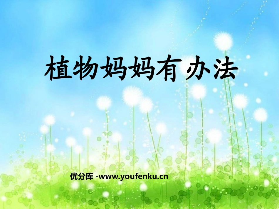 《植物妈妈有办法》PPT课件[鲁教版二年级语文上册]_第1页