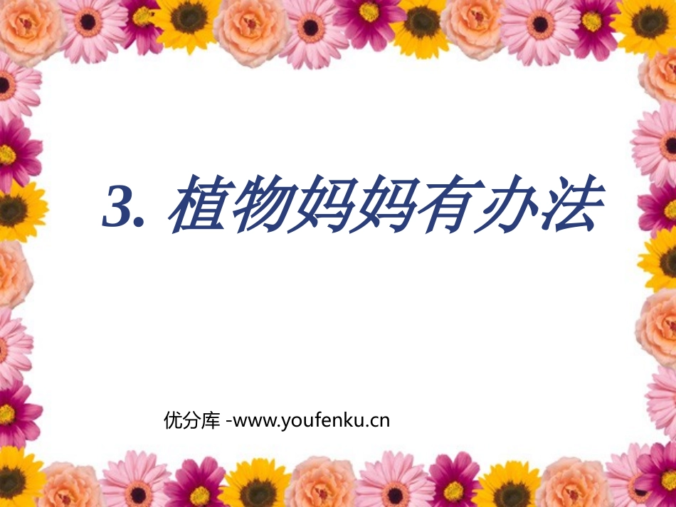 《植物妈妈有办法》PPT课件[鲁教版二年级语文上册]_第1页