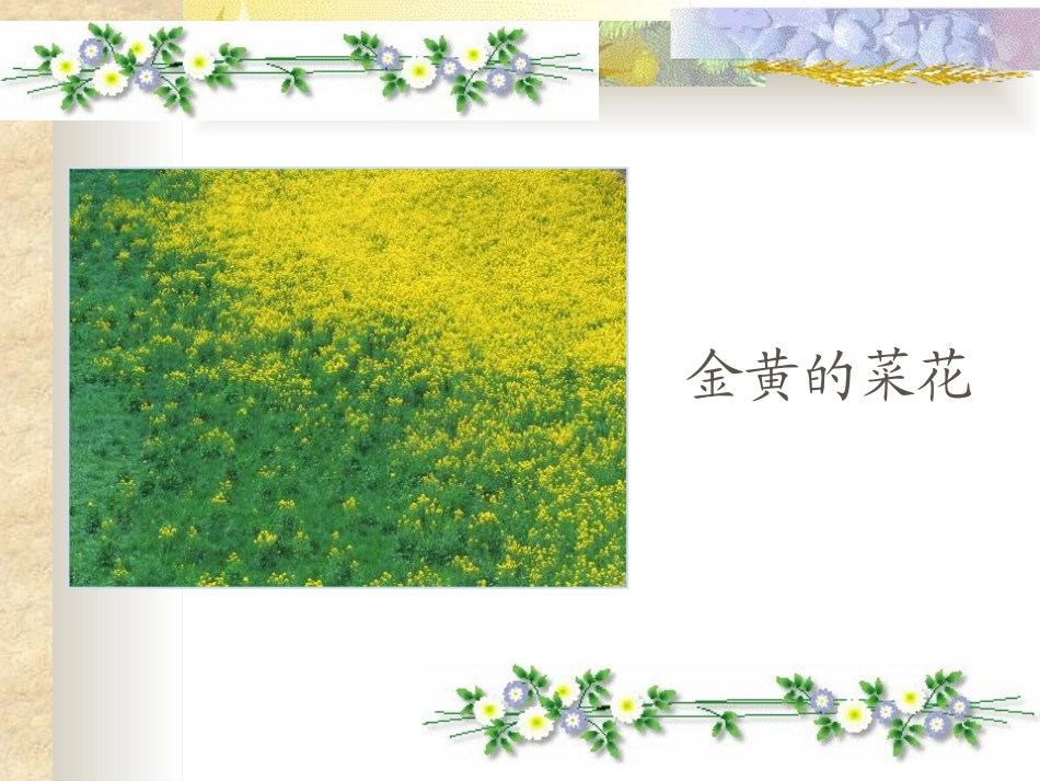 《植物妈妈有办法》PPT课件[鲁教版二年级语文上册]_第3页