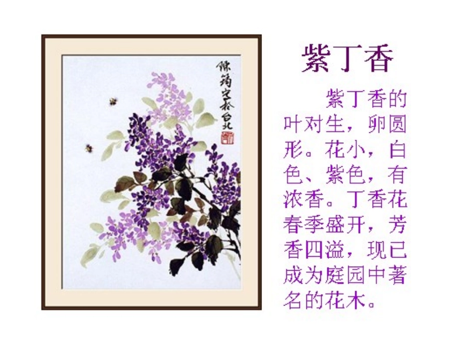《一株紫丁香》PPT课件[鲁教版二年级语文上册]_第2页