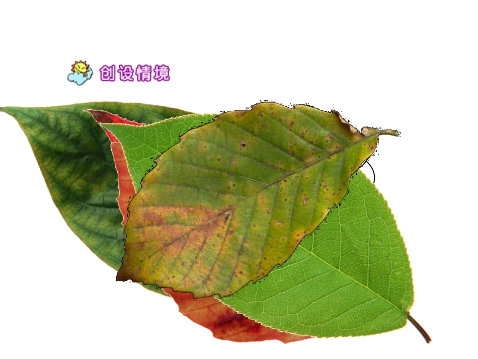 《蓝色的树叶》PPT课件[鲁教版二年级语文上册]_第2页