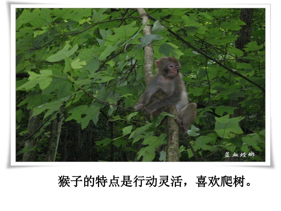 《从现在开始》PPT课件[鲁教版二年级语文上册]_第3页