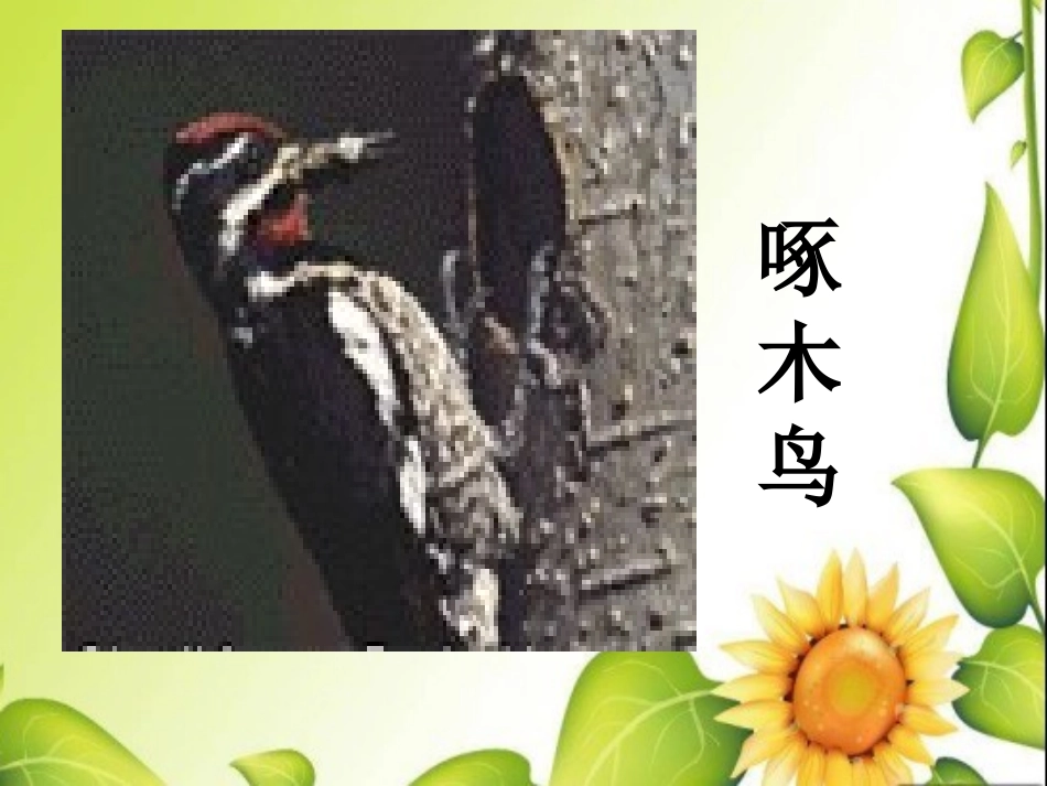 《“红领巾”真好》PPT课件[鲁教版二年级语文上册]_第3页