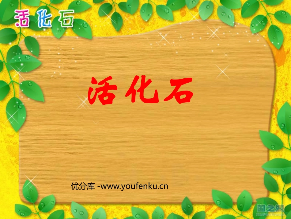 《活化石》PPT课件[鲁教版二年级语文上册]_第1页