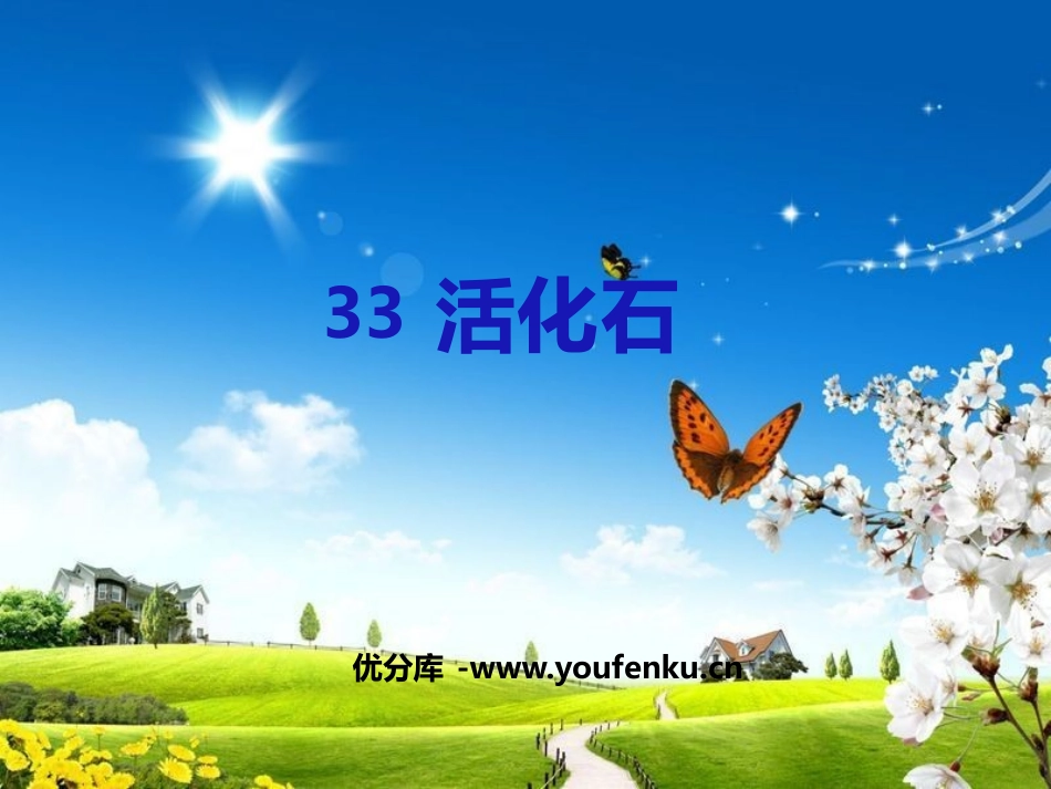 《活化石》PPT课件[鲁教版二年级语文上册]_第1页