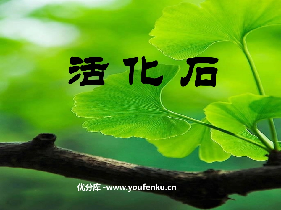 《活化石》PPT课件[鲁教版二年级语文上册]_第1页