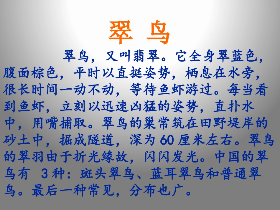 《翠鸟》PPT课件[鲁教版三年级语文上册]_第2页