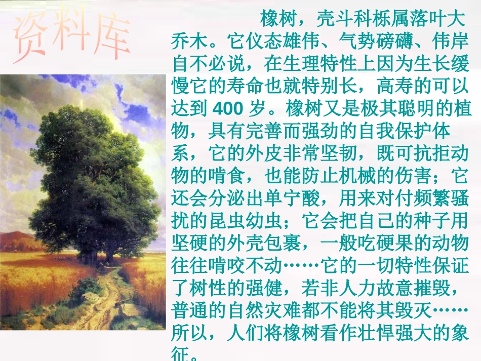《路旁的橡树》PPT课件[鲁教版三年级语文上册]_第2页