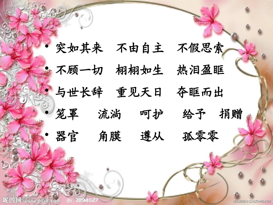 《永生的眼睛》PPT课件[鲁教版四年级语文上册]_第2页
