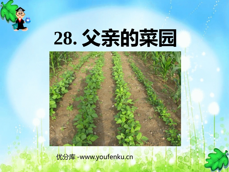 《父亲的菜园》PPT课件[鲁教版四年级语文上册]_第1页