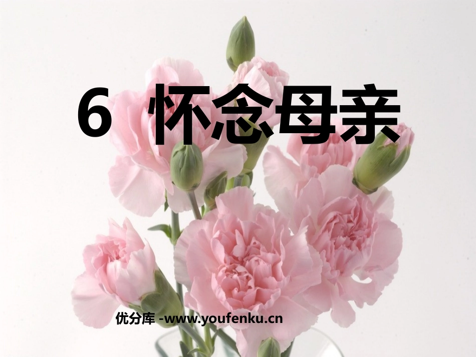 《怀念母亲》PPT课件[鲁教版五年级语文上册]_第1页