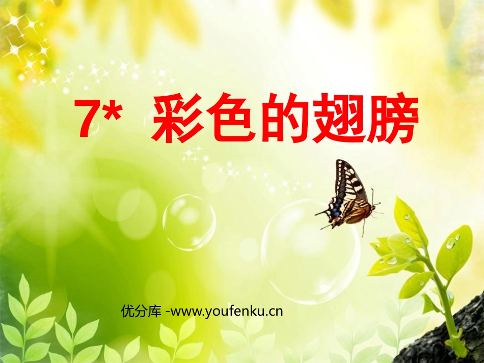 《彩色的翅膀》PPT课件[鲁教版五年级语文上册]_第1页