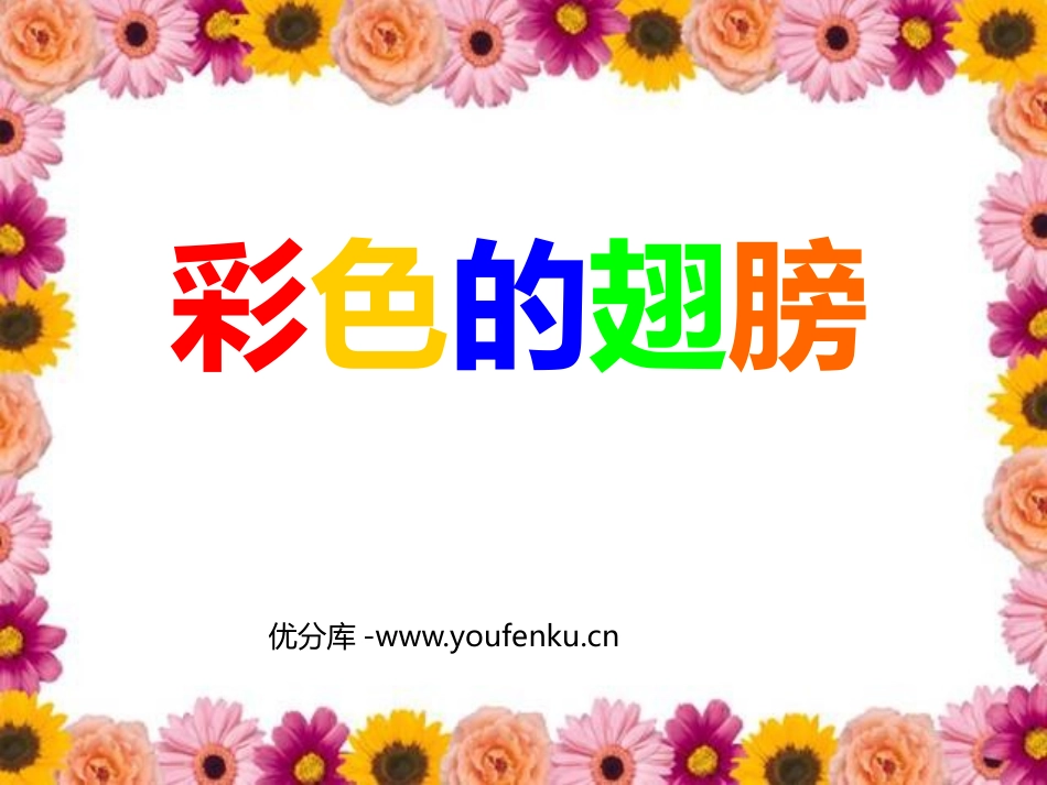 《彩色的翅膀》PPT课件[鲁教版五年级语文上册]_第1页
