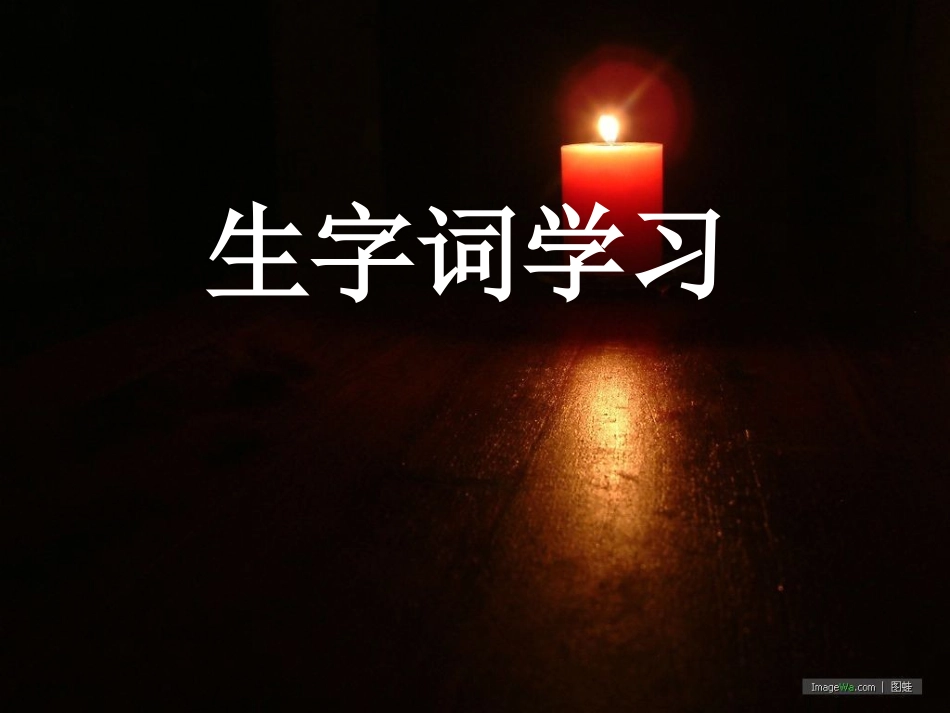 《半截蜡烛》PPT课件[鲁教版五年级语文上册]_第2页