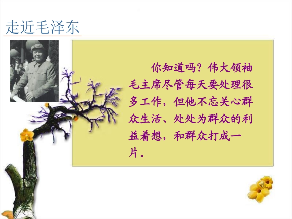 《XXX在花山》PPT课件[鲁教版五年级语文上册]_第3页