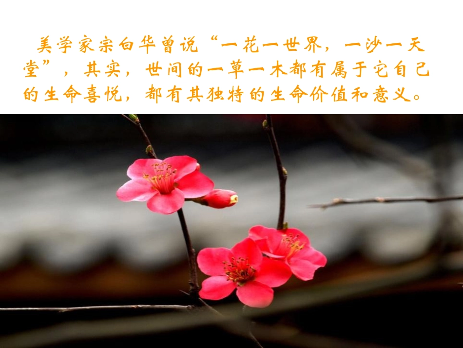 《石缝间的生命》PPT课件[鲁教版六年级语文上册]_第3页
