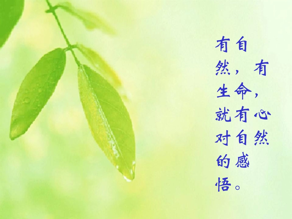 《石缝间的生命》PPT课件[鲁教版六年级语文上册]_第2页