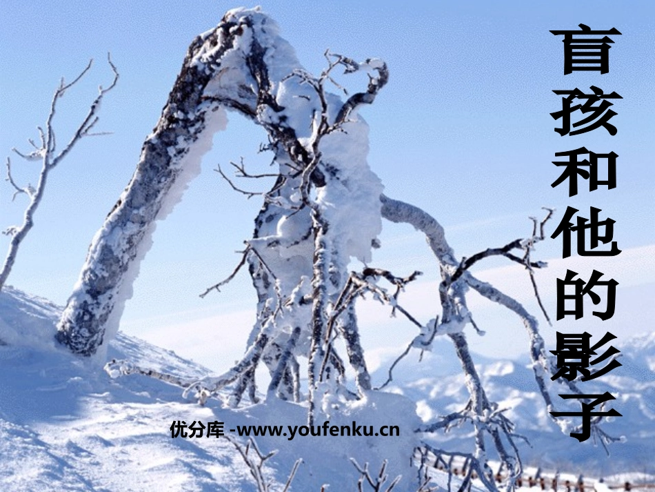 《盲孩子和他的影子》PPT课件[鲁教版六年级语文上册]_第1页