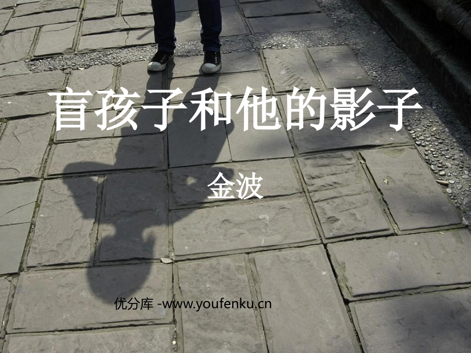 《盲孩子和他的影子》PPT课件[鲁教版六年级语文上册]_第1页