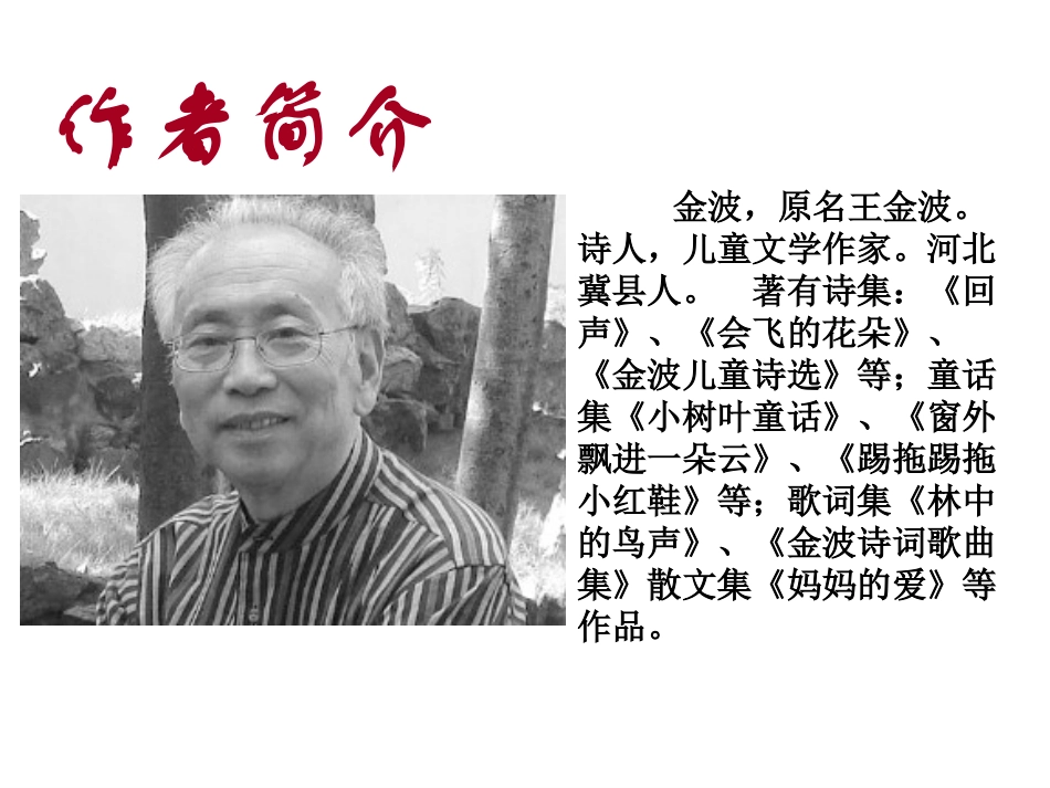 《盲孩子和他的影子》PPT课件[鲁教版六年级语文上册]_第2页