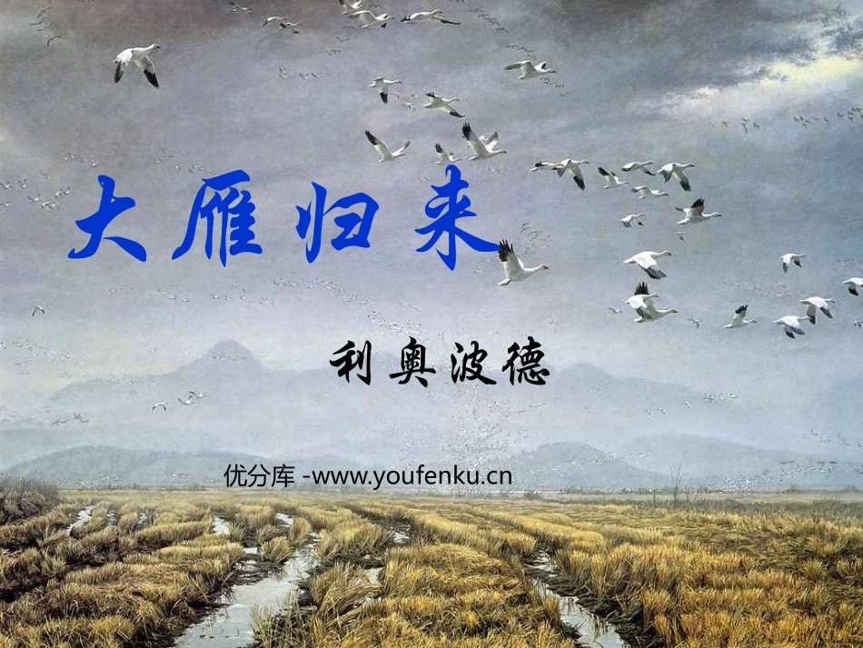 《大雁归来》PPT课件[鲁教版七年级语文上册]_第1页