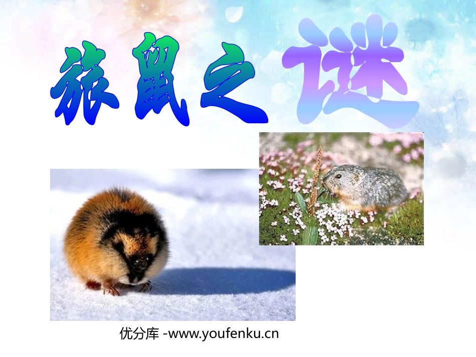 《旅鼠之谜》PPT课件[鲁教版七年级语文上册]_第1页
