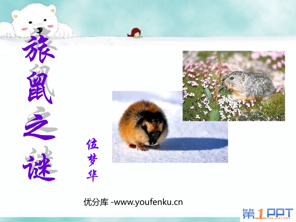 《旅鼠之谜》PPT课件[鲁教版七年级语文上册]_第1页