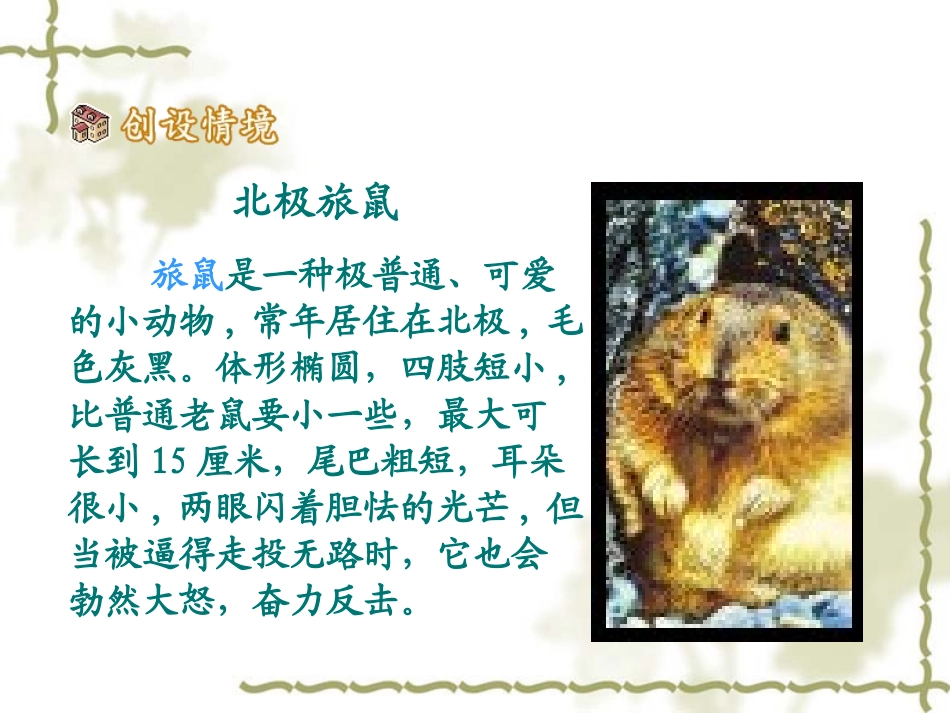 《旅鼠之谜》PPT课件[鲁教版七年级语文上册]_第3页