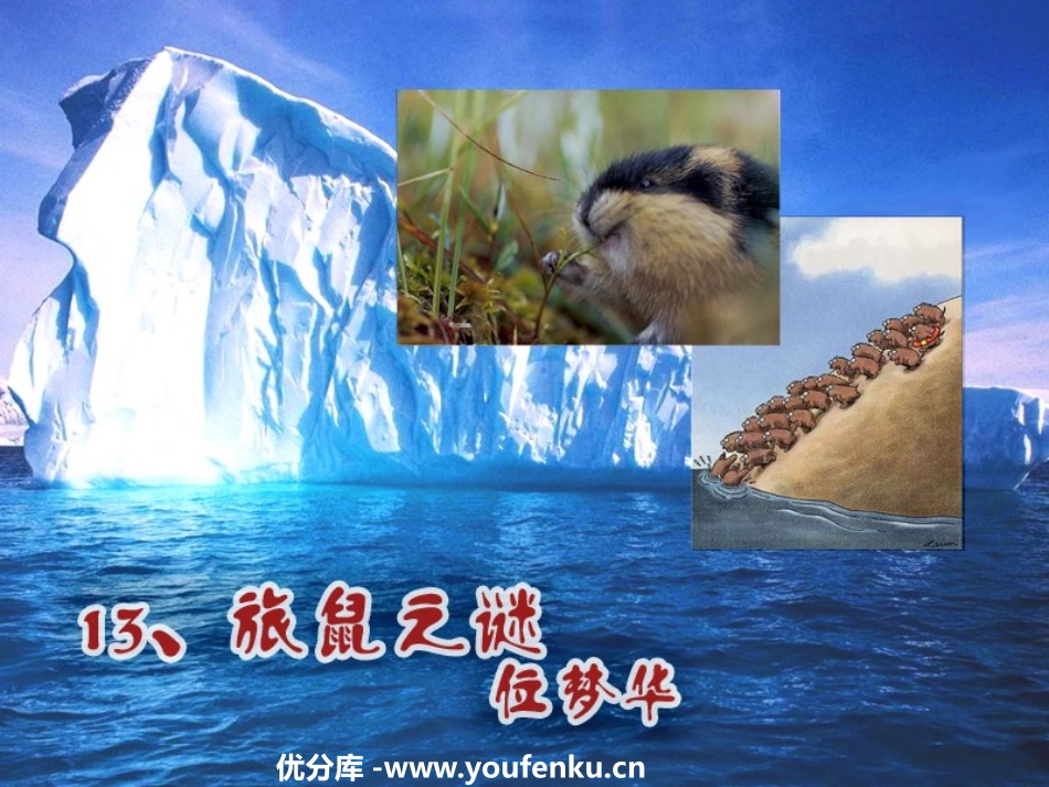 《旅鼠之谜》PPT课件[鲁教版七年级语文上册]_第1页
