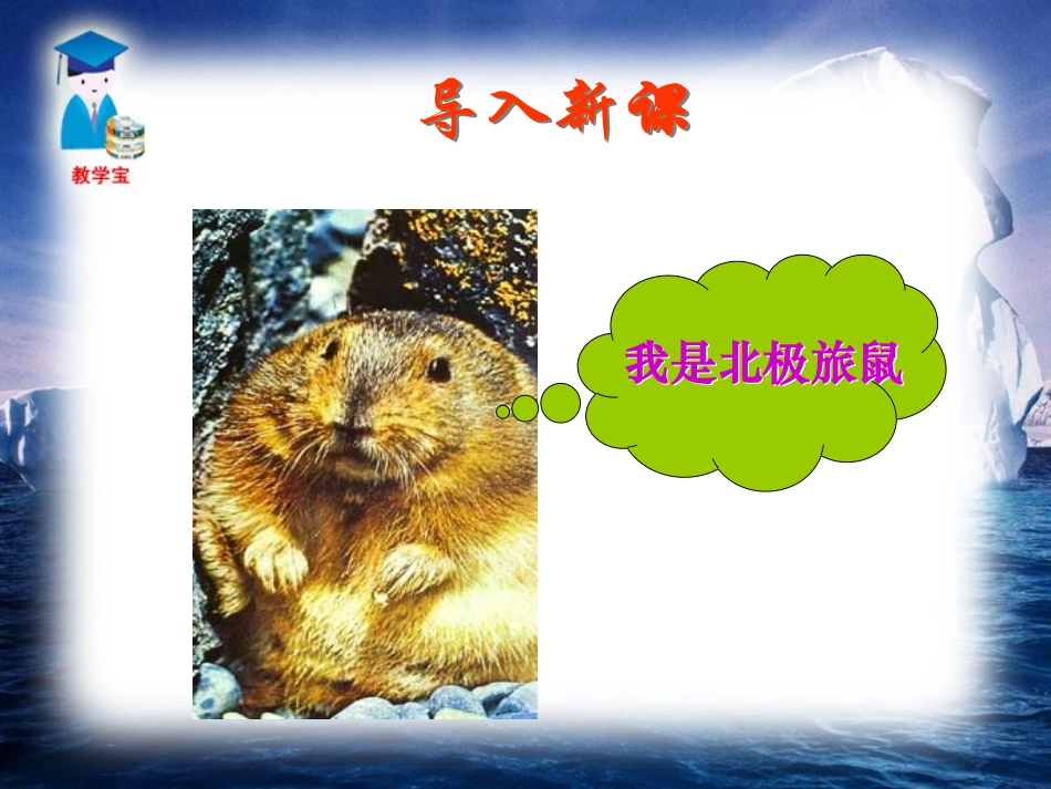 《旅鼠之谜》PPT课件[鲁教版七年级语文上册]_第2页